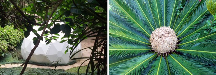 Fotos: Carlos Alberto Mattos 