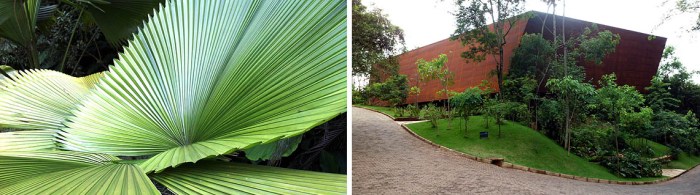 Fotos: Carlos Alberto Mattos e Rosane Nicolau