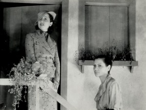 Favela dos Meus Amores